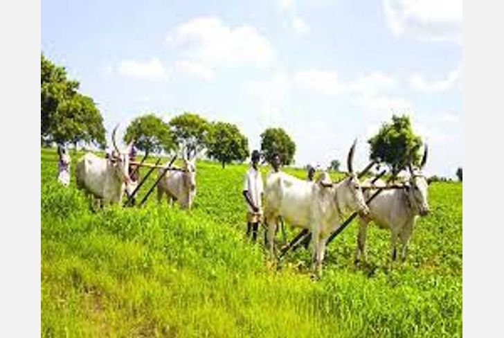 Agricultural conference
