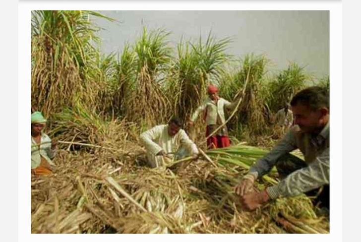साखर कारखान्याचे बाॅयलर पेटण्याच्या अधी मजूरांचे आंदोलन मात्र पेटणार