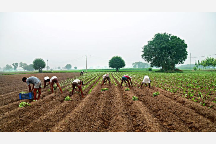 Farmers in Maharashtra