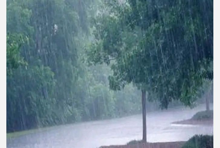 राज्यात दडी मारलेला पाऊस पून्हा सक्रिय