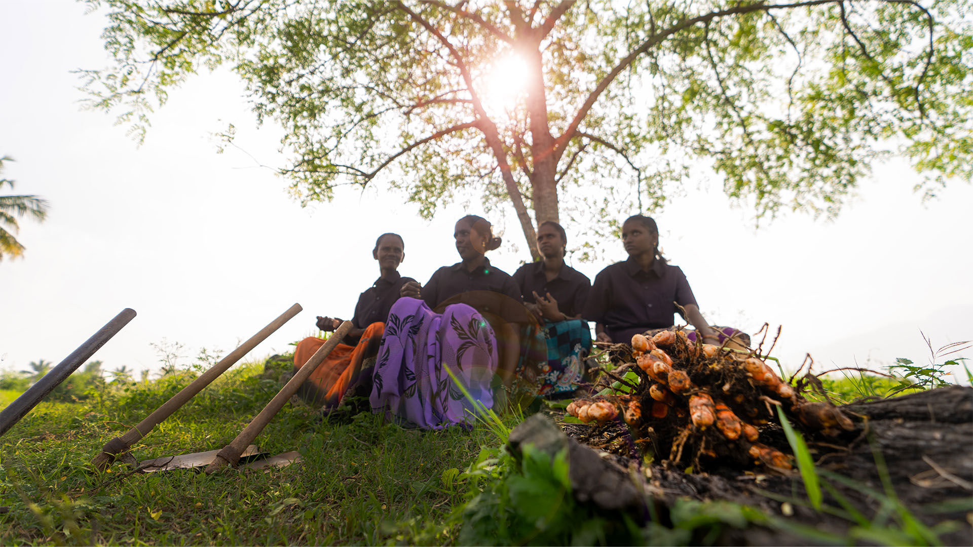 Sustainable Practices