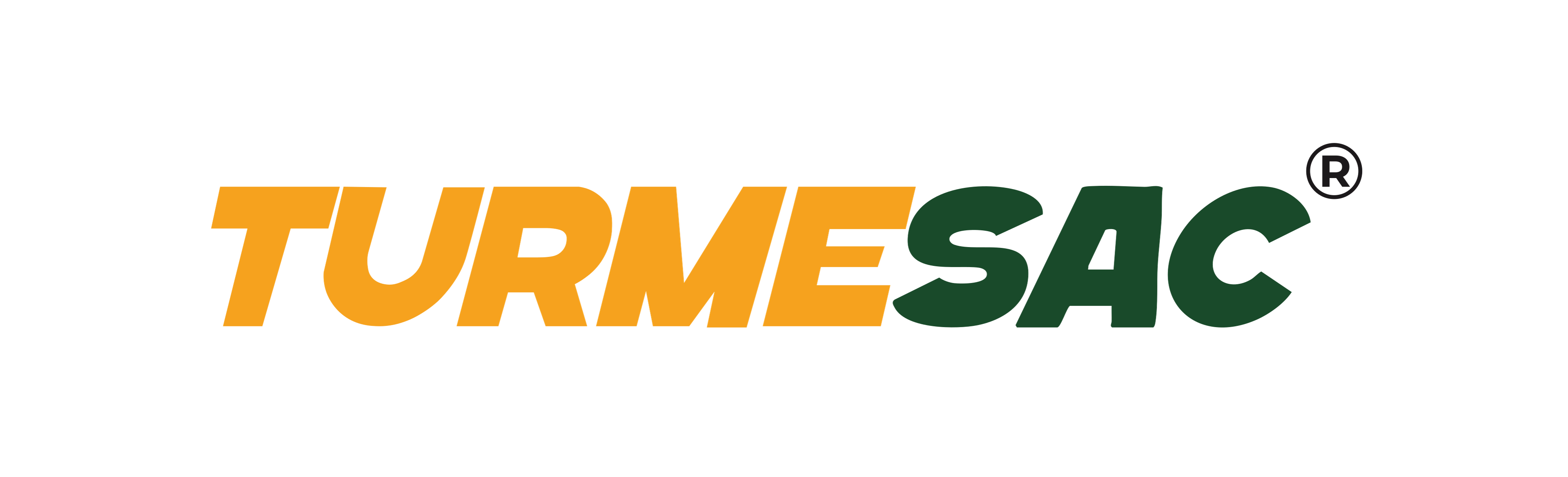 Turmesac Logo