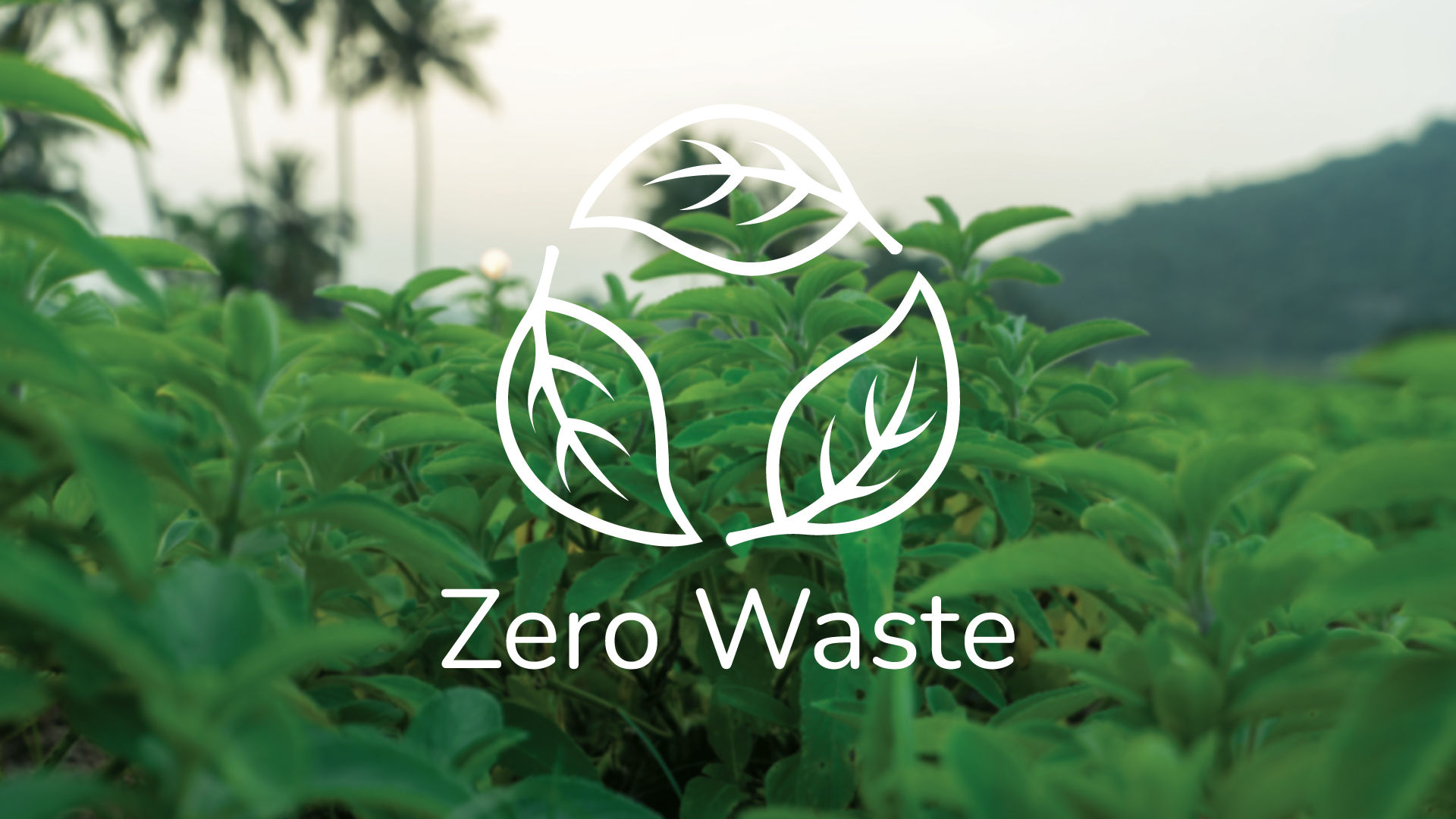Zero Waste