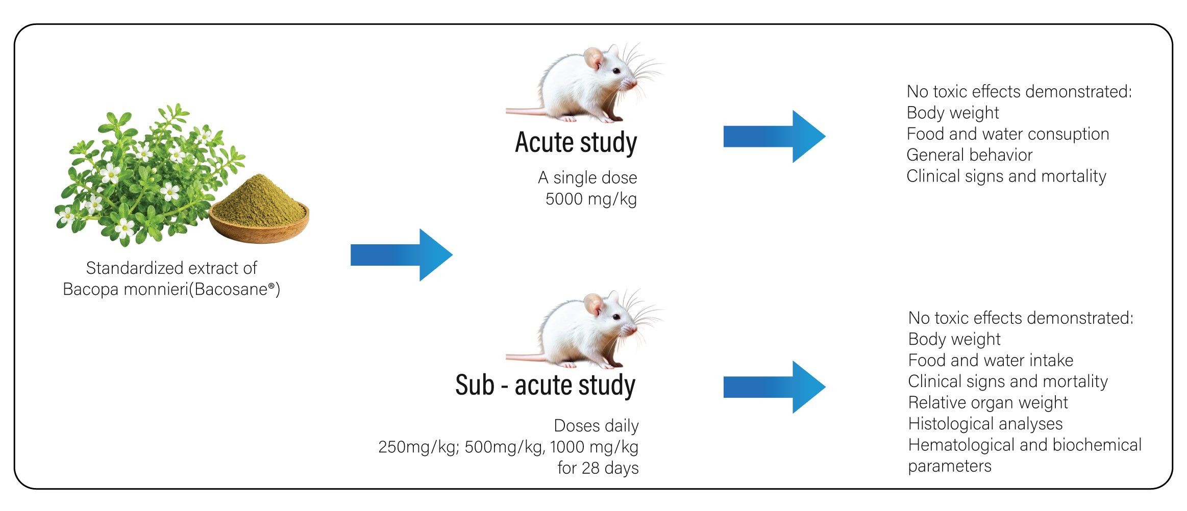 Acute and sub-acute toxicity study of Bacosane in albino rats