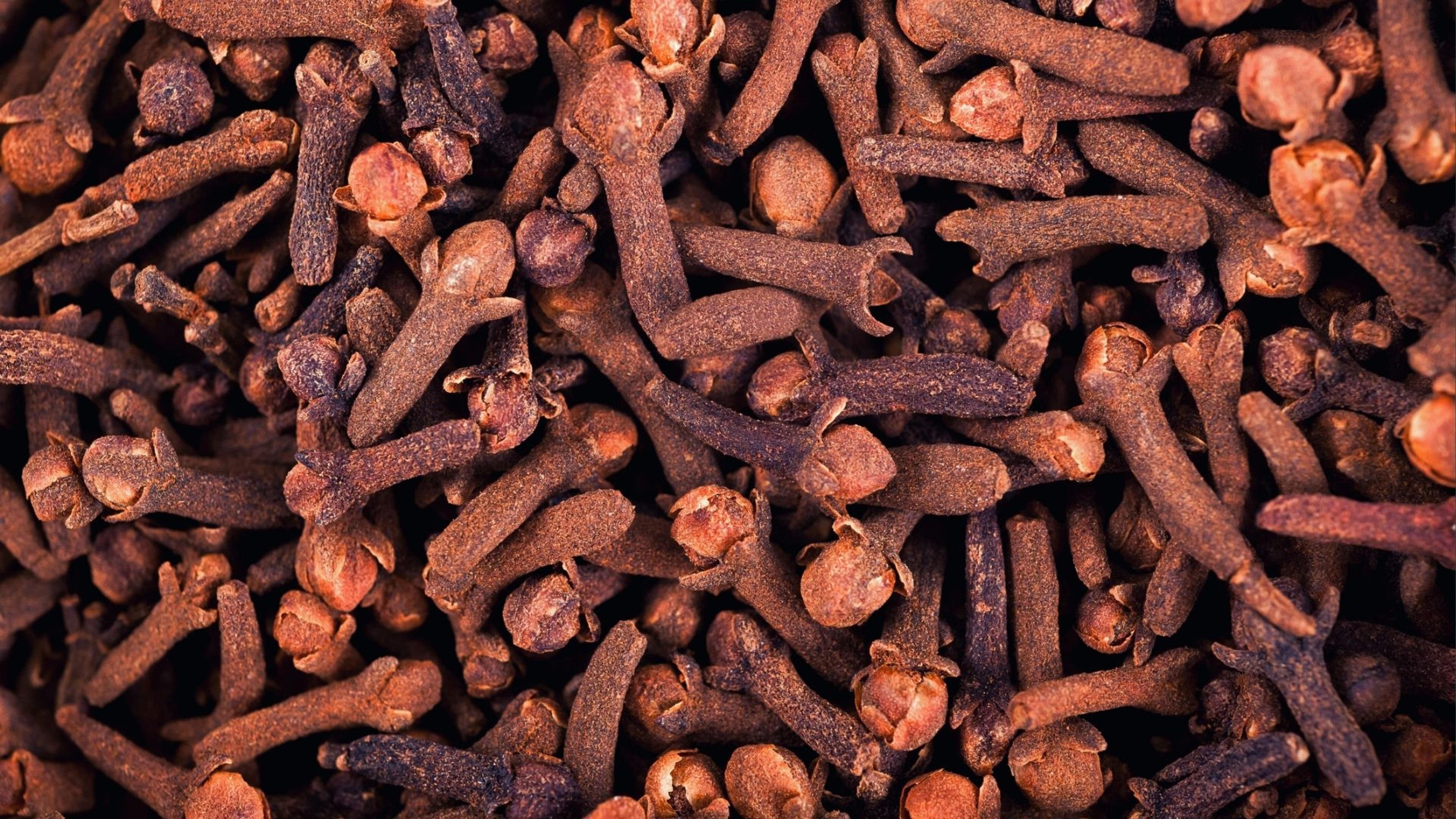 Clove Extract