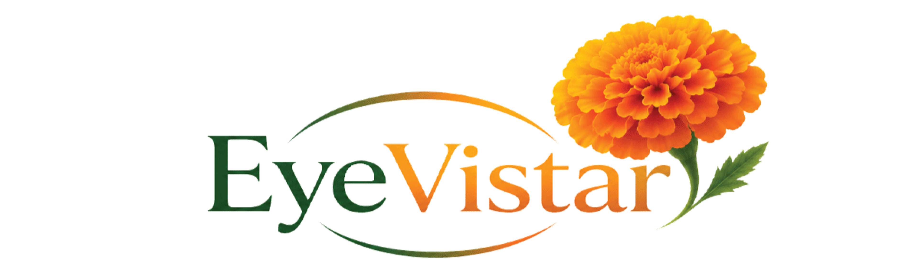 Eyevistar Logo