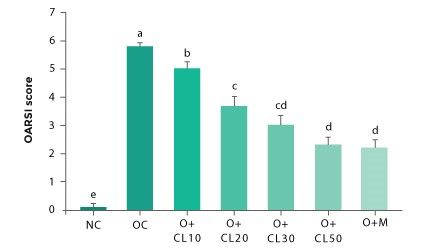 OARSI Severity Score