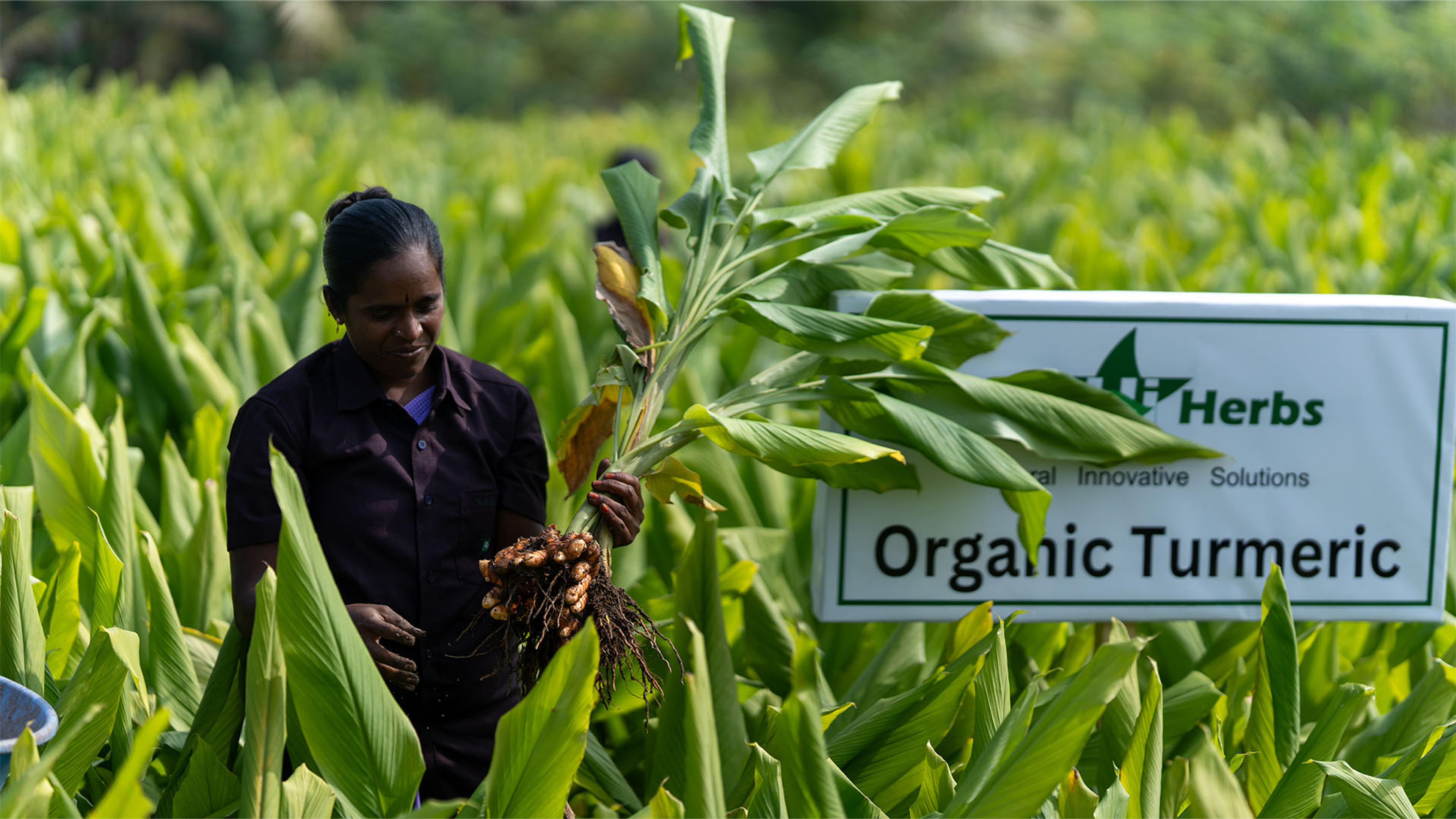 Organic Farming