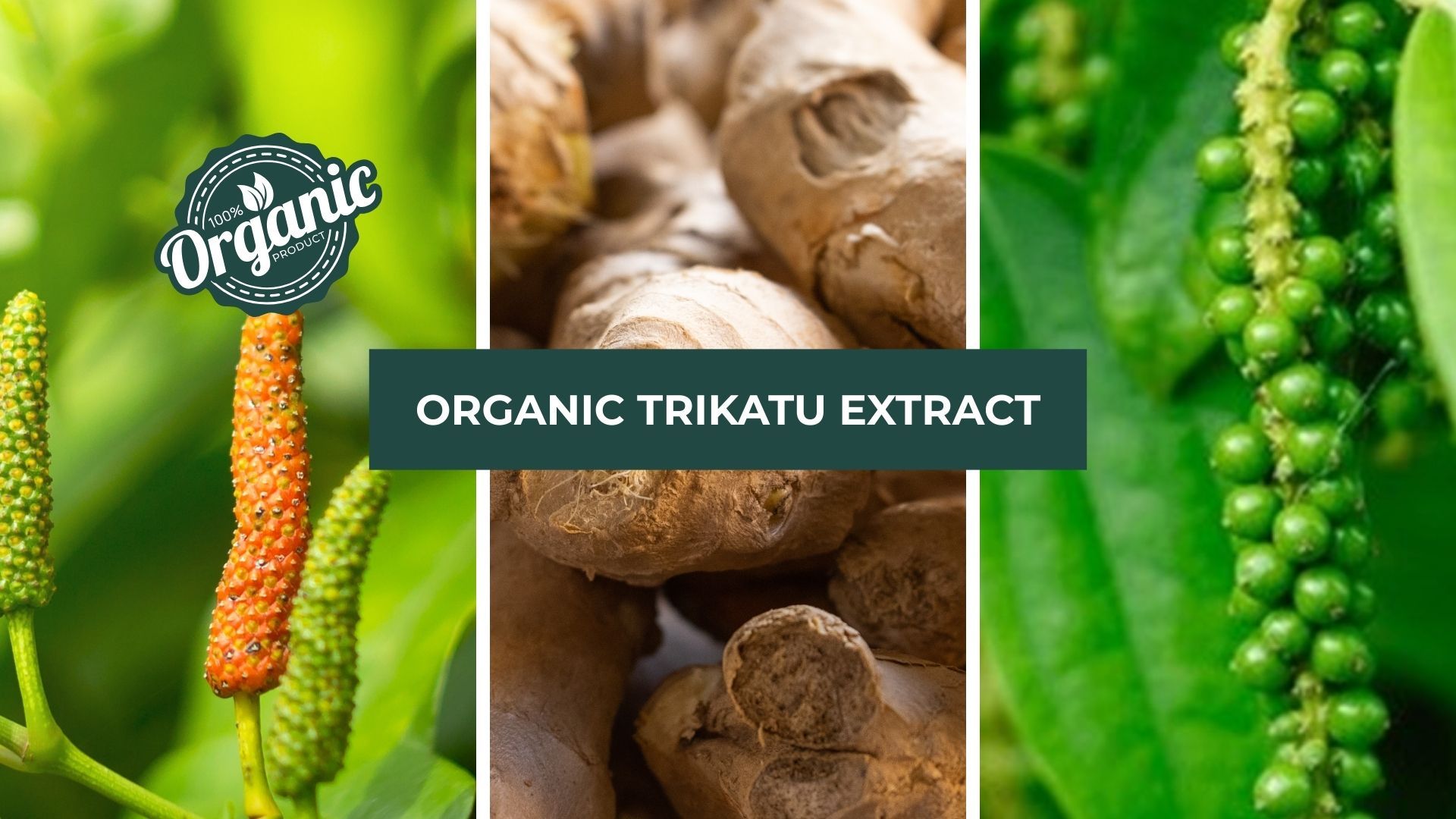 Organic Trikatu Extract