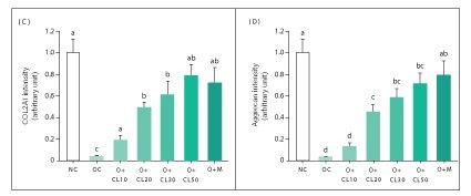 Aggrecan Expression in Knee Articular Cartilage