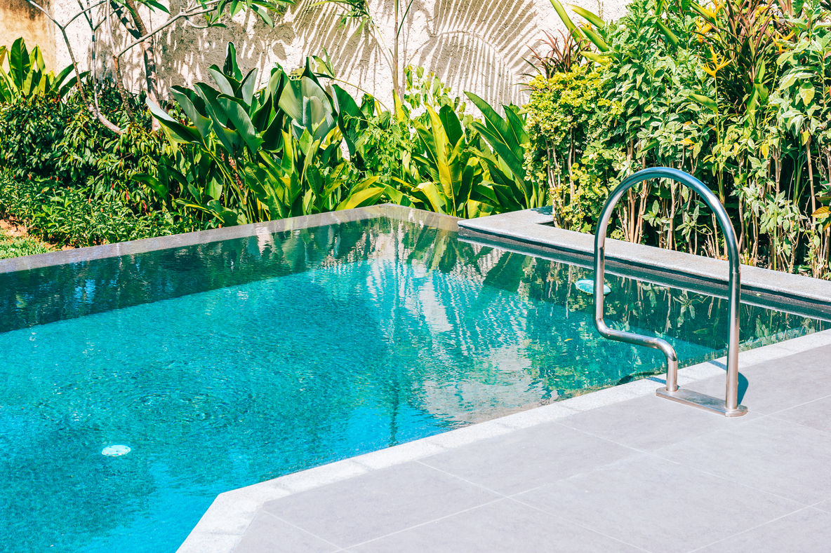 Swimming Pool Landscaping In Brisbane With Plants