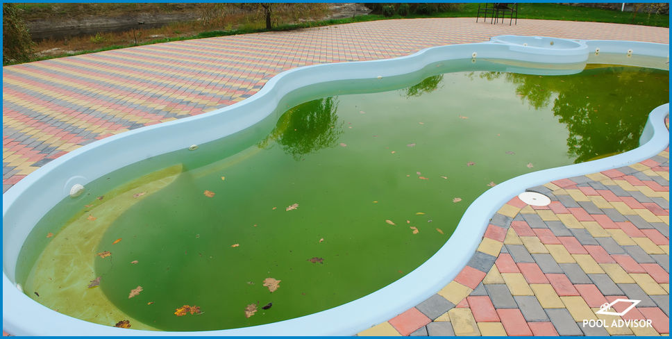 Pool Green After Rain