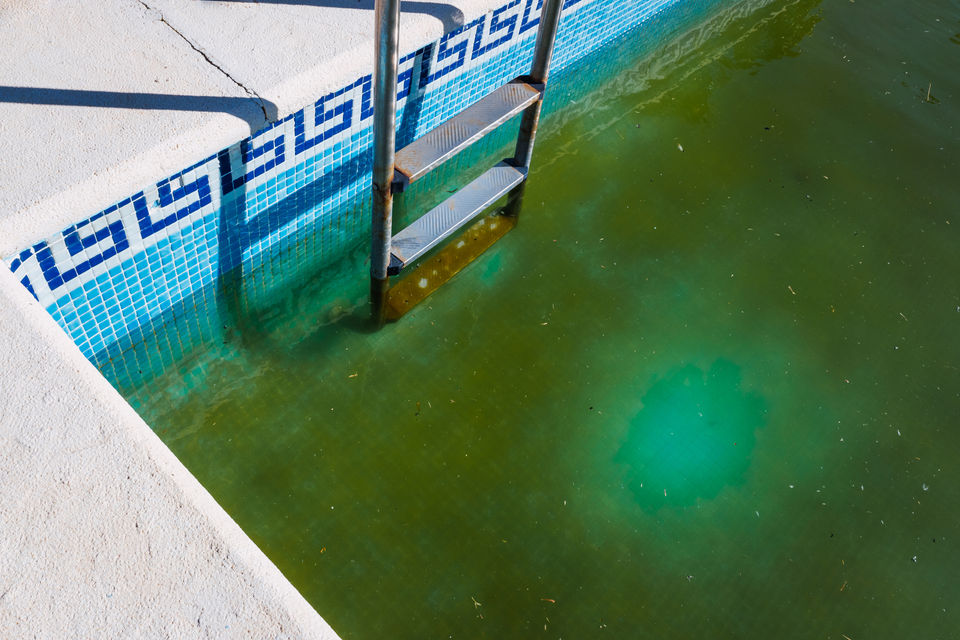 How To Remove Algae Stains From Pool Walls Complete Guide