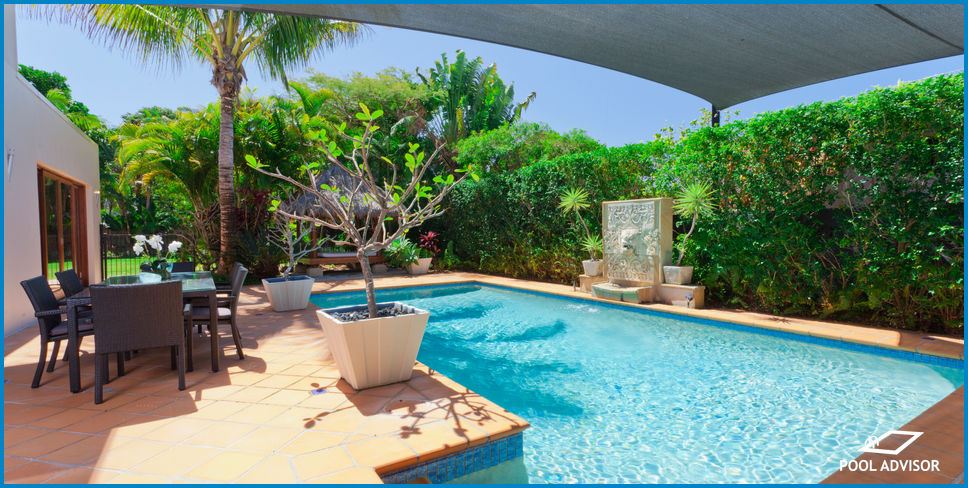 Pool Friendly Plants In Queensland