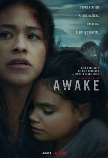 Poster de Awake