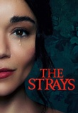 Poster de The Strays