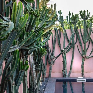 De Ampersand Residence l A unique stay full of creativity and inspiration