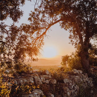 Quinta Luzico l Embraced by nature