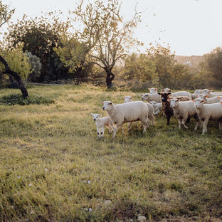 Quinta Luzico l Embraced by nature