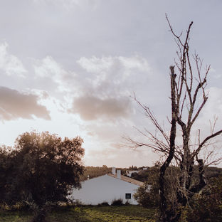 Quinta Luzico l Embraced by nature