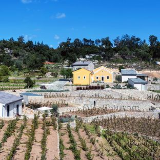 Quinta da Lila | Een adembenemend landgoed omgeven door serene berggebieden