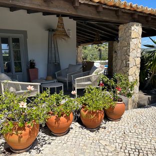 Quinta Fernando l House with character and beautiful views of the countryside