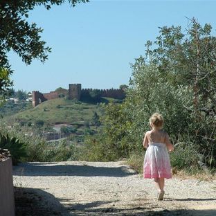 Quinta Canine l Atmospheric place with a beautiful garden