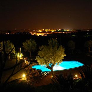 Quinta Canine l Atmospheric place with a beautiful garden