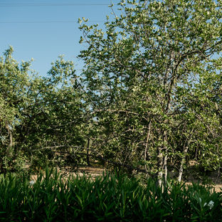 Quinta Cereja l Charmante cottage met grote tuin en zwembad