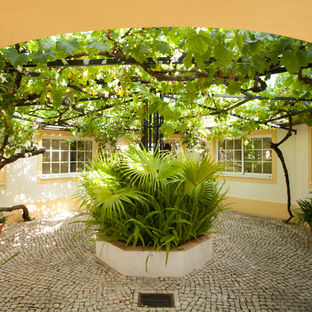 Quinta Monchique l Surrounded by nature 