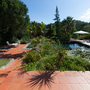 Quinta Monchique l Surrounded by nature 