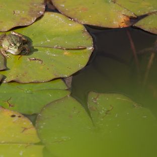 Casa Monchique l rust, natuur en klasse