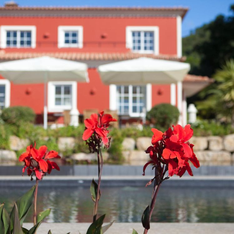 Casa Monchique l rust, natuur en klasse