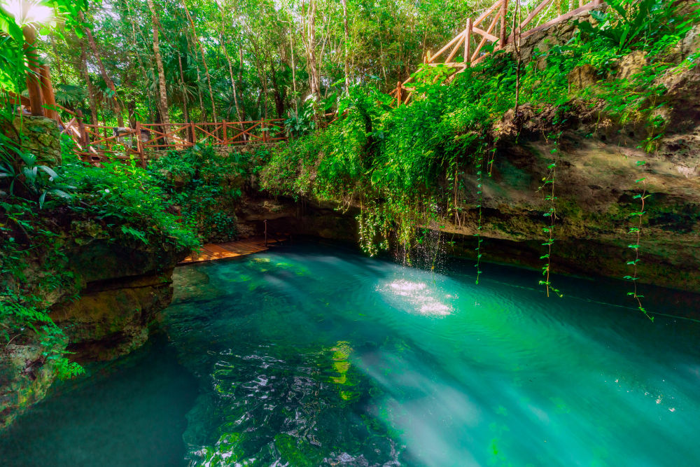 Cenote Trail Experience