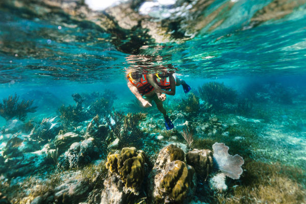 Snorkel Adventuring
