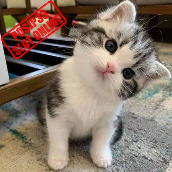 POSJP33: Apk Mobile Game Slot Online Gampang Menang Hari ini