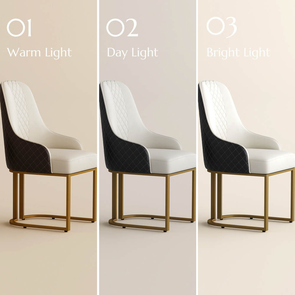 Stainless Steel Beige & Black PU Leather Dining Chairs