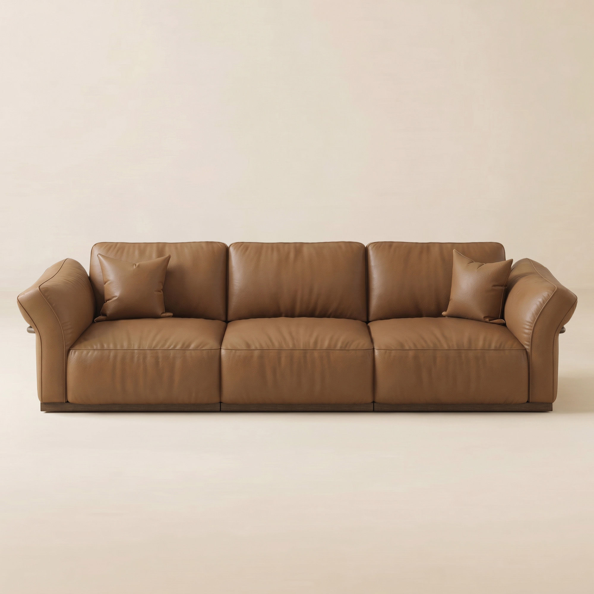 Modern sofa