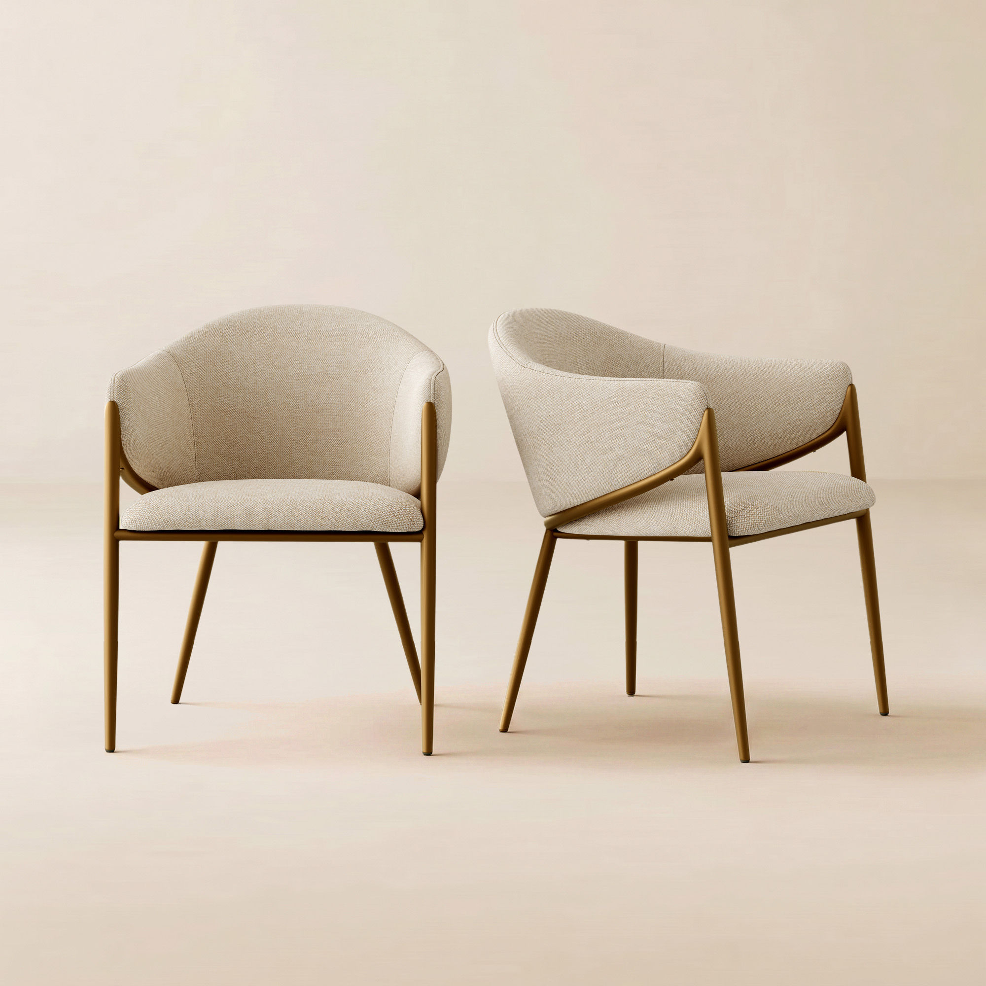 Modern dining chairs