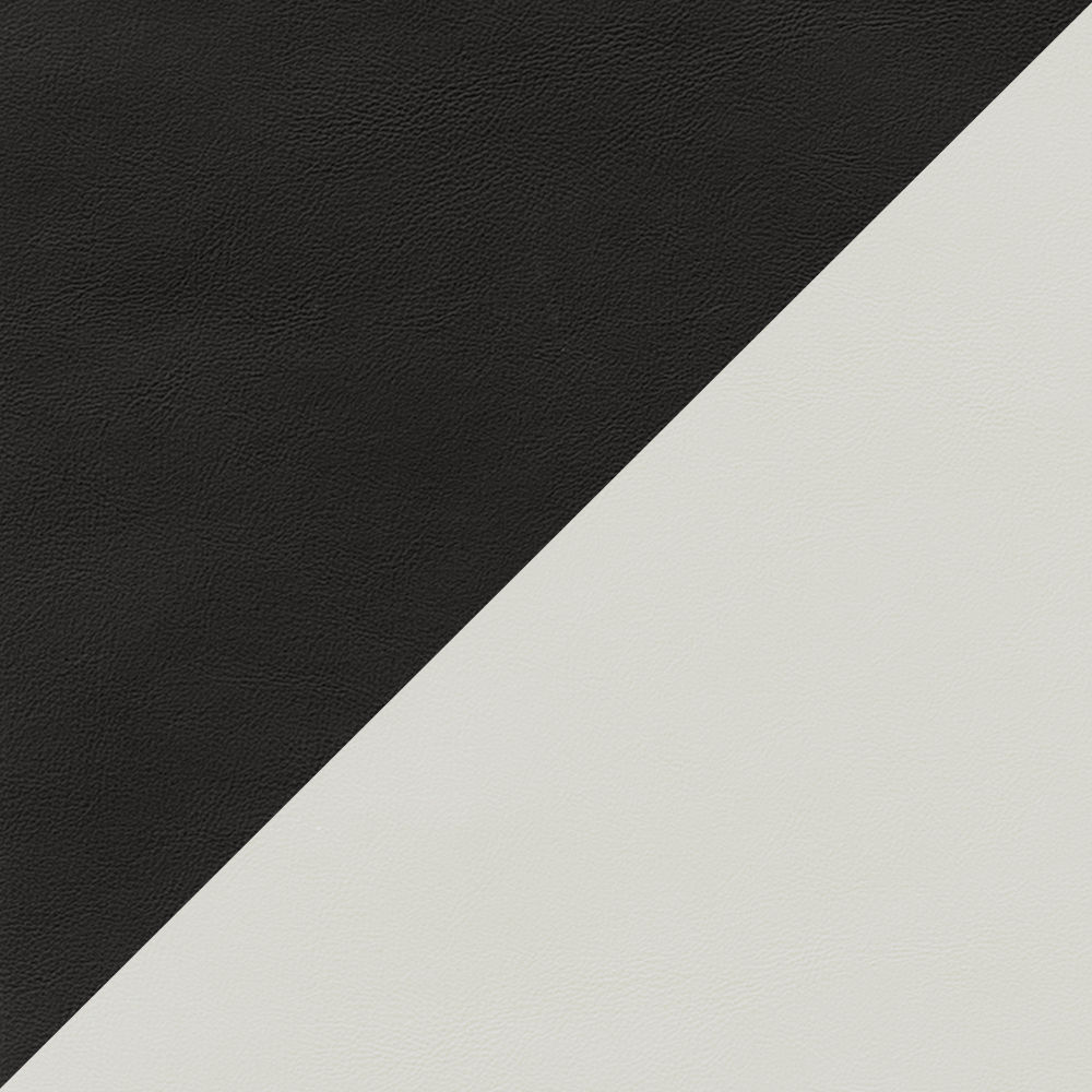 Black & Light Gray