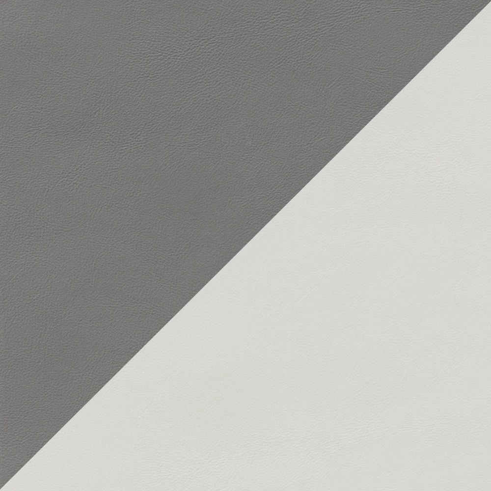Gray & Light Gray