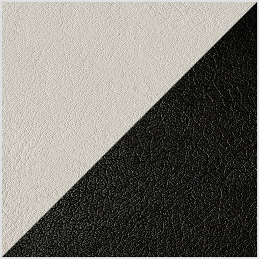 Ivory white & Black