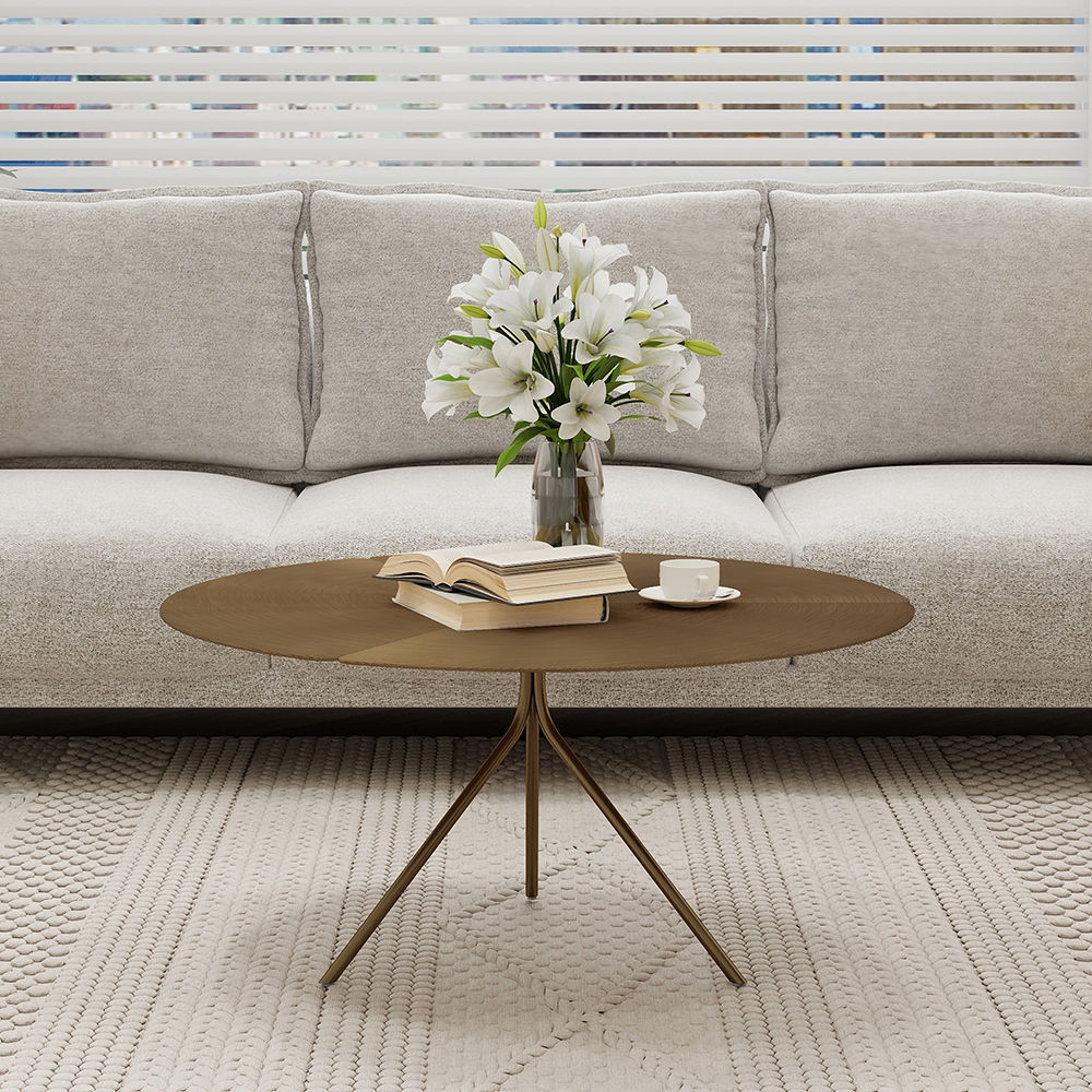 Partly Assemble Brown Coffee Tables