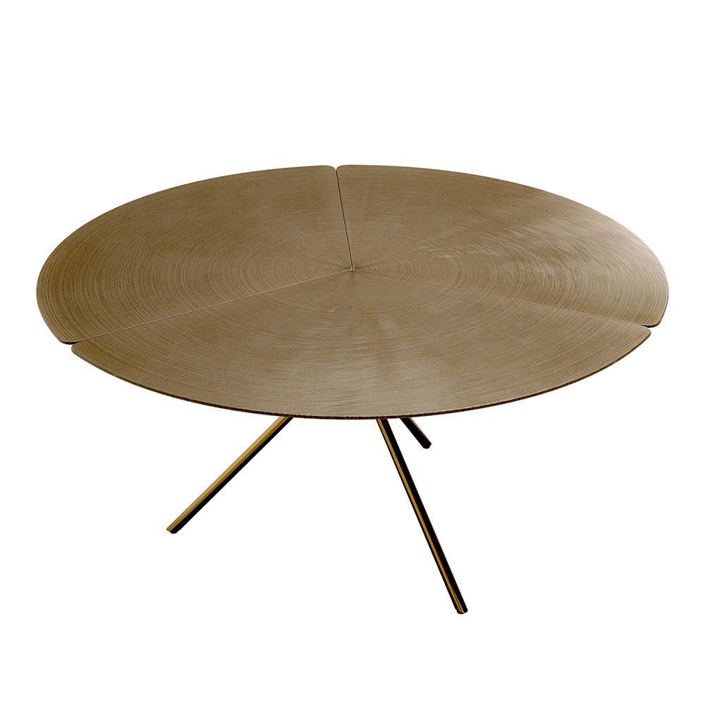 Modern Brown Coffee Tables
