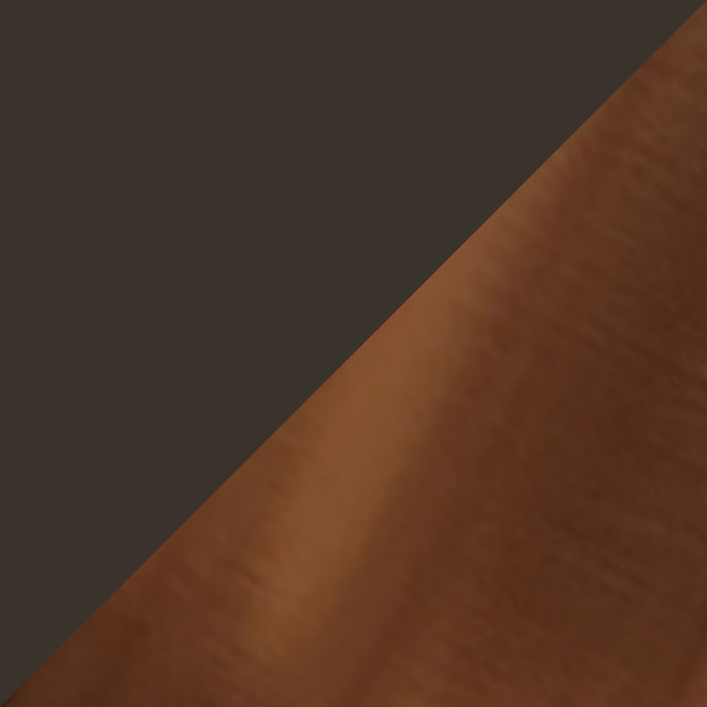 Black & Bronze