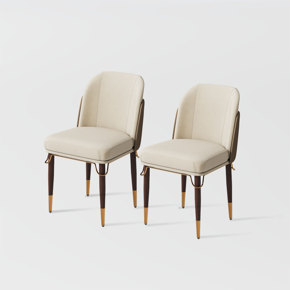 Color Matching Beige Leather Dining Chairs