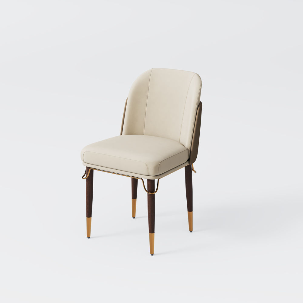 Color Matching Beige Leather Dining Chairs