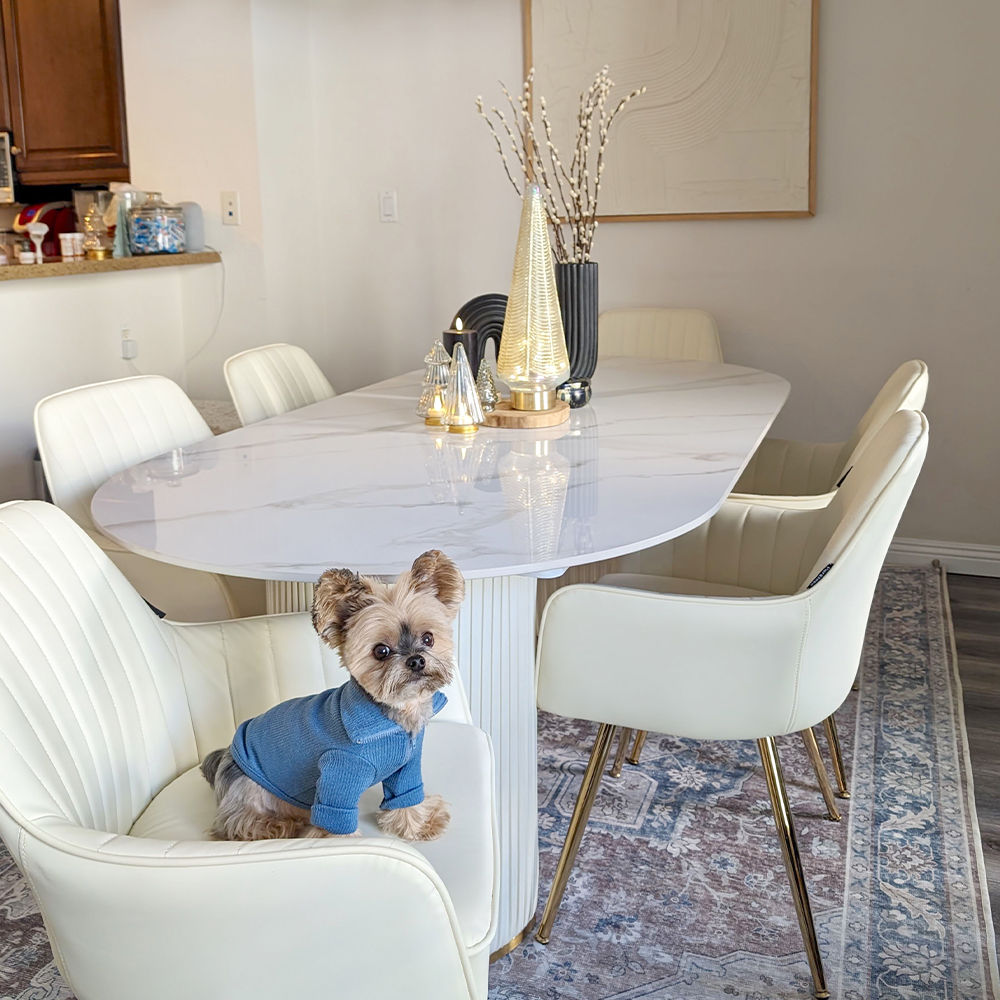 White Glossy Sintered Stone Dining Tables