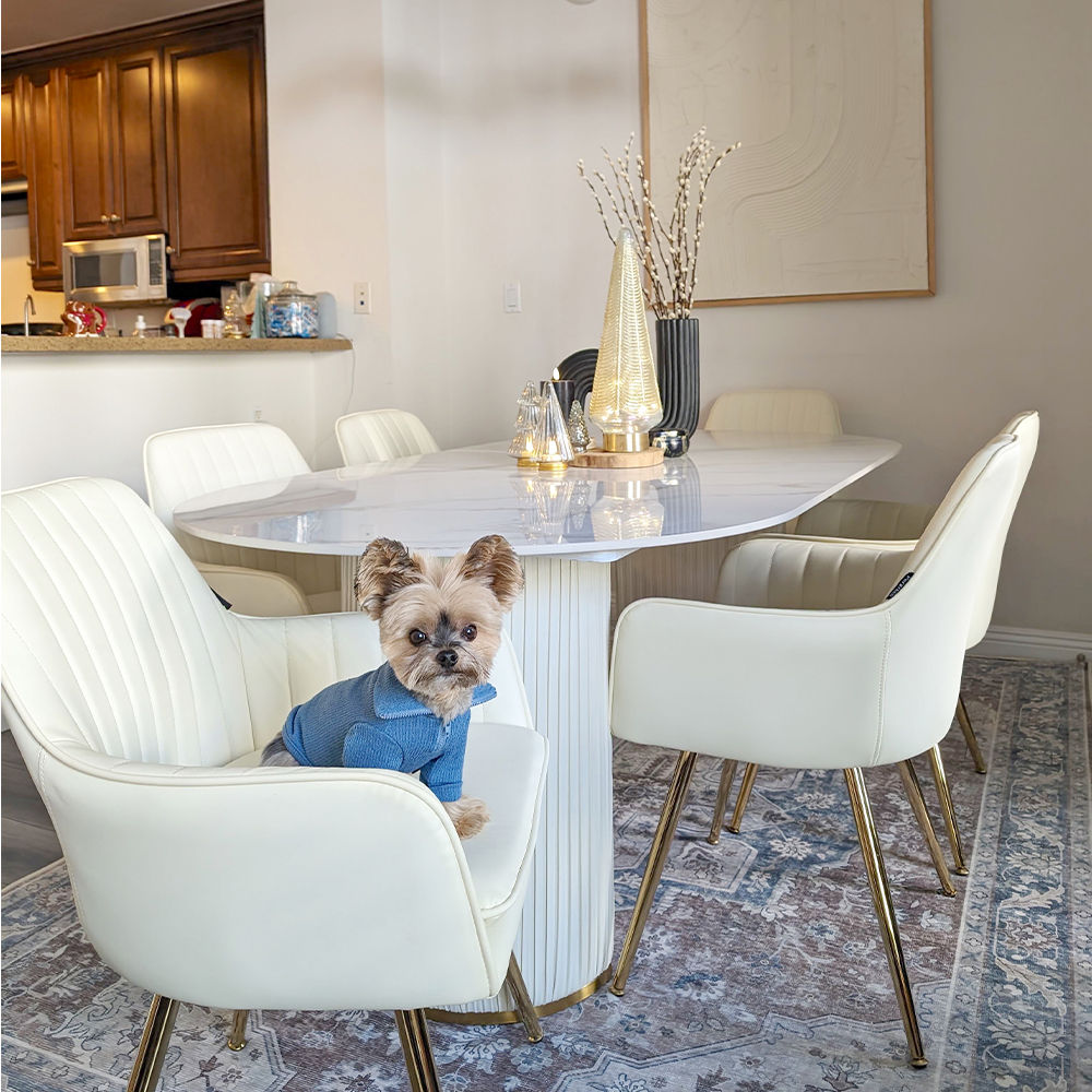 White Glossy Sintered Stone Dining Tables