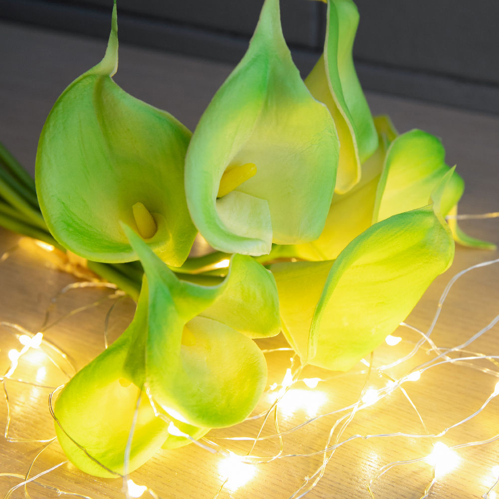 Green PU Home Accessories